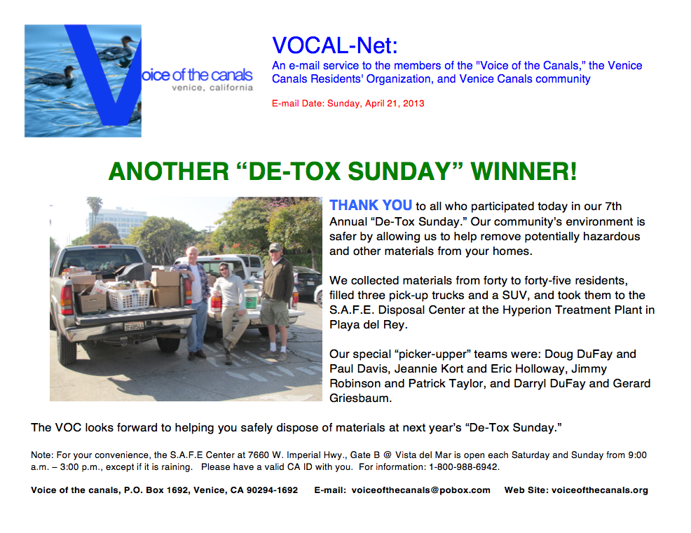 DeTox VOCAL13 -t