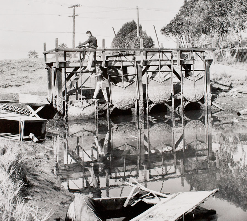 Grand Canal Gates 1956